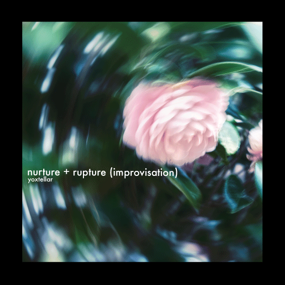 nurture + rupture (improvisation) のジャケット。緑の葉と淡いピンクの花が渦を描くように揺らいでいる。
